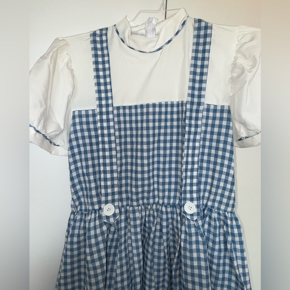 Dorothy Wizard of Oz Blue Gingham Suspender Dress and accessories